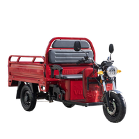 VT5 Electric Three-Wheeled Motorcycle