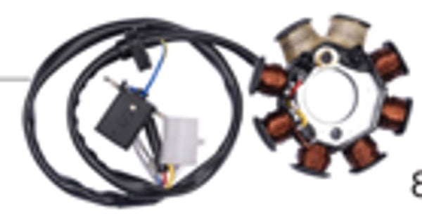 Stator (125 CC)