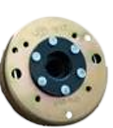 Stator Kapağı (170 CC)