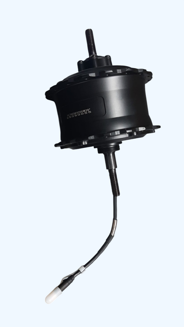 Motor 36V/250W