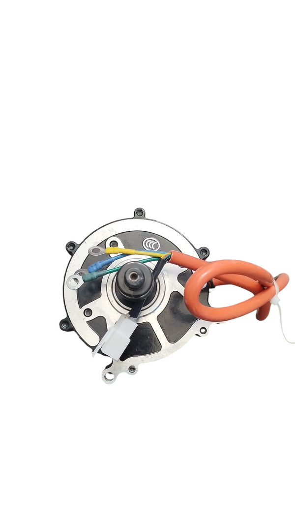 Motor (1000W)