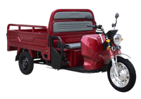 VT5 PRO Elektrikli Üç Tekerlekli Motosiklet