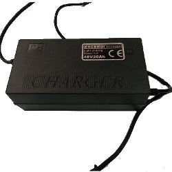YP 48V 4A Lithium