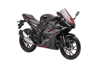 DEMON GR250R Benzinli Motosiklet