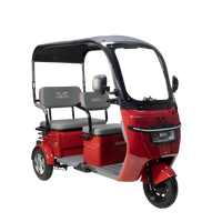 VM5 Neo Üç Tekerlekli Elektrikli Motosiklet
