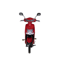 VSX Elektrikli Motosiklet
