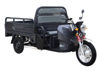 VT5 PRO Elektrikli Üç Tekerlekli Motosiklet