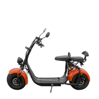 SE-03 Max Elektrikli İki Tekerlekli Motosiklet